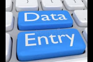 Portfolio for Data Entry/Data Typing