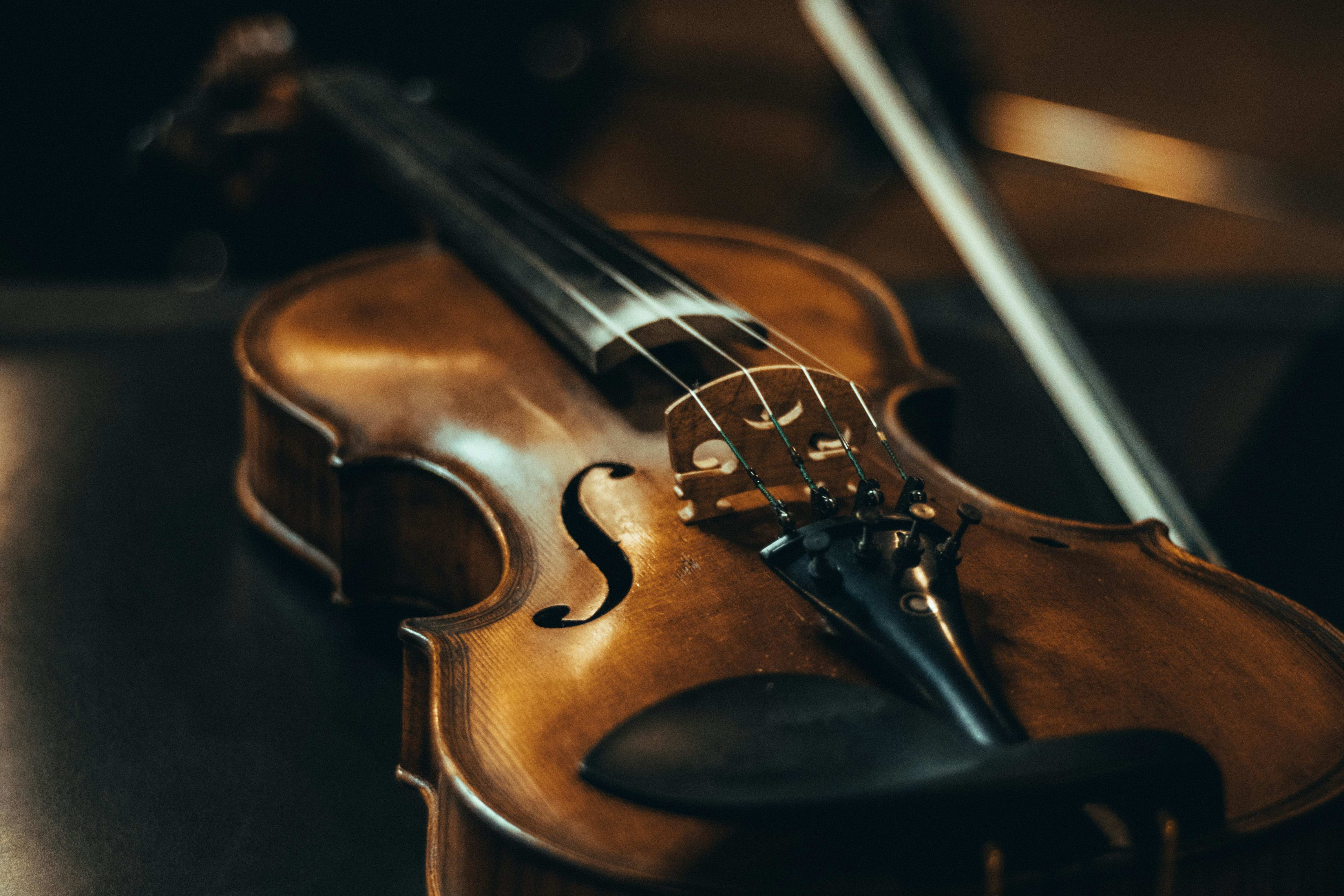 Portfolio for String Arrangements for your Song