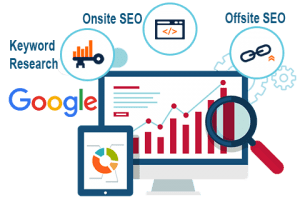 Portfolio for Search Engine Optimization