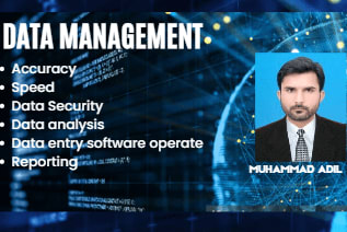 Portfolio for DATA ENTRY