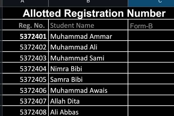 Portfolio for Microsoft Excel and word Data entry