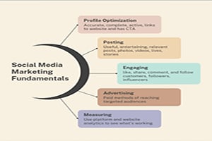 Portfolio for Complete Social Media Management