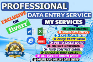 Portfolio for Data entry copy paste & virtual assistan