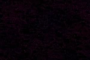 Portfolio for Customer support