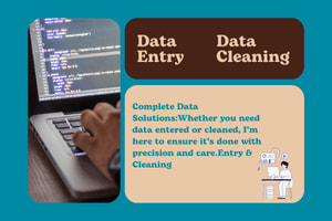 Portfolio for Data Entry and cleaning