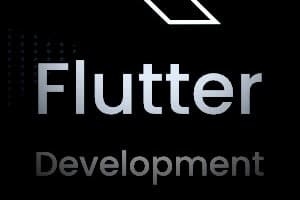 Portfolio for flutter development