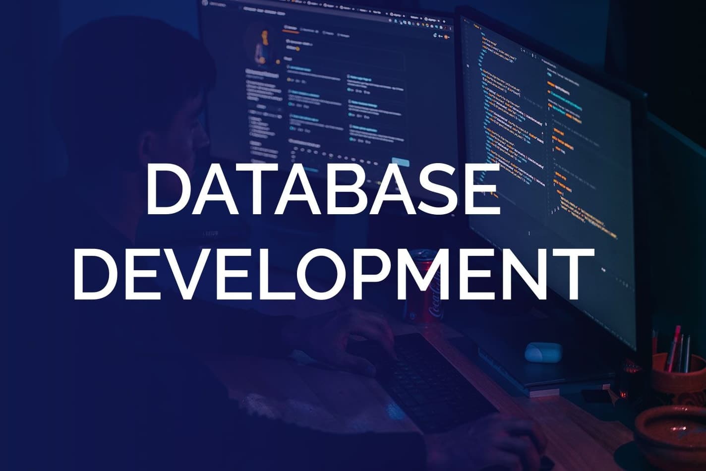 Portfolio for Database development