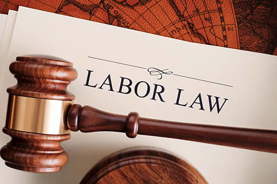 Portfolio for Legal Summarization