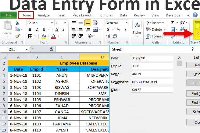 Portfolio for Professional Data Entry Operator