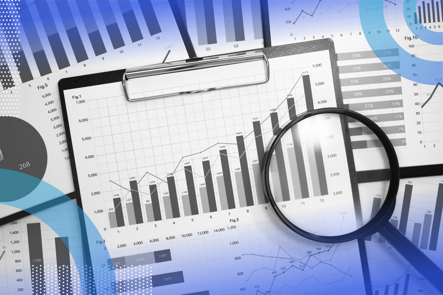Portfolio for Statistician
