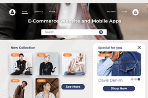 Portfolio for E-Commerce Website