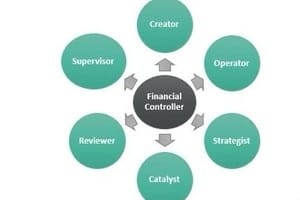 Portfolio for Financial Controller, Accountant