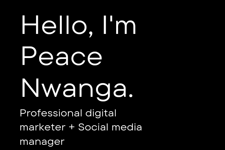 Portfolio for Social Media Management/Digital Marketin