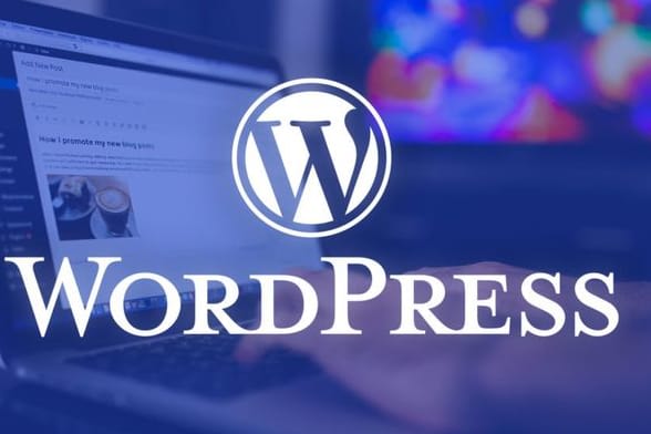 Portfolio for Wordpress Web Developer