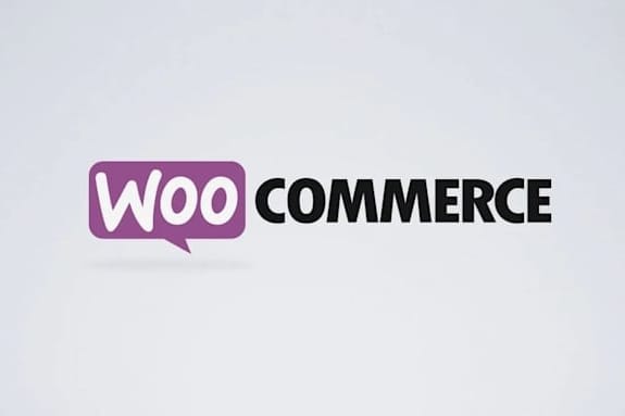 Portfolio for Create ecommerce wordpress webshop