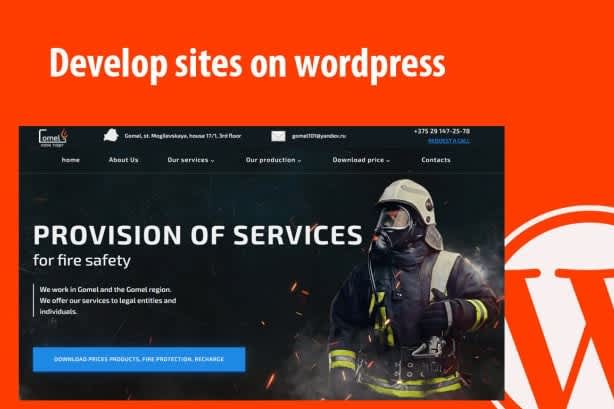 Portfolio for Create wordpress website