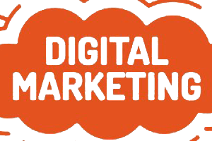 Portfolio for Digital Marketing Expert & Development