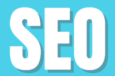 Portfolio for SEO Specialist | WordPress Dev/Design