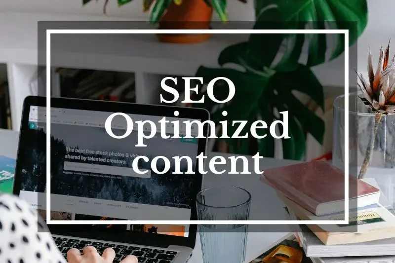 Portfolio for Article Writing