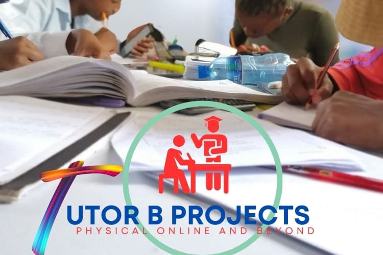 Portfolio for Tutor
