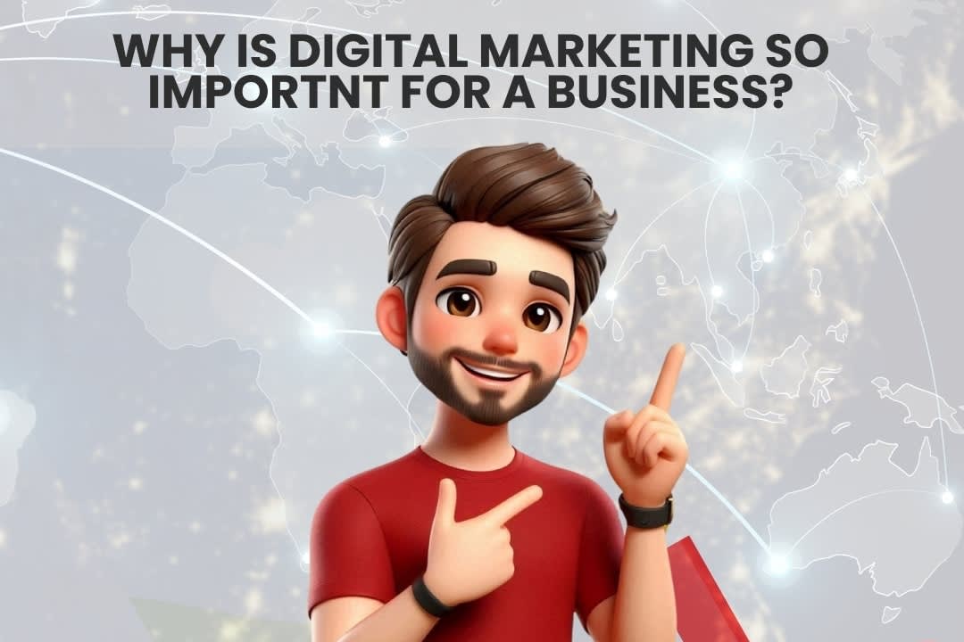 Portfolio for Digital Marketing Expert