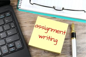 Portfolio for Assignment Writer