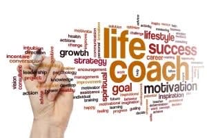Portfolio for Consultancy