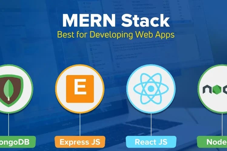 Portfolio for Website Development