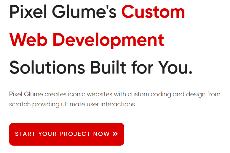 Portfolio for Website Development