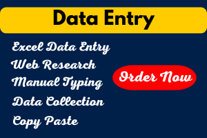 Portfolio for Data Entry