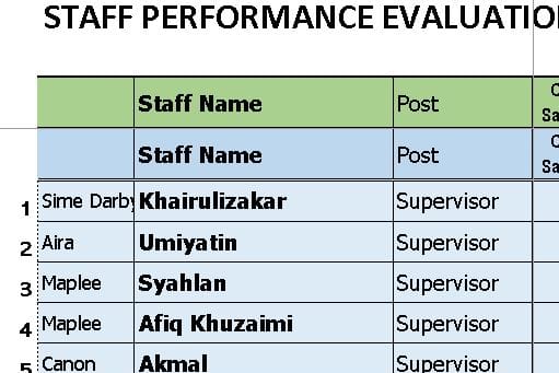 Portfolio for Data Entry