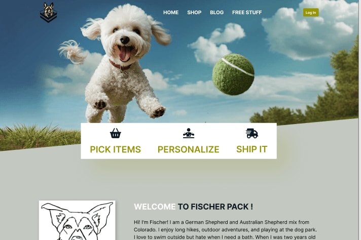 Portfolio for Web Development