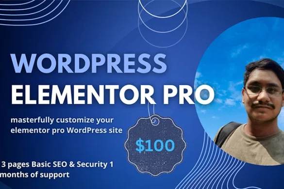 Portfolio for Customize Elementor Pro Website