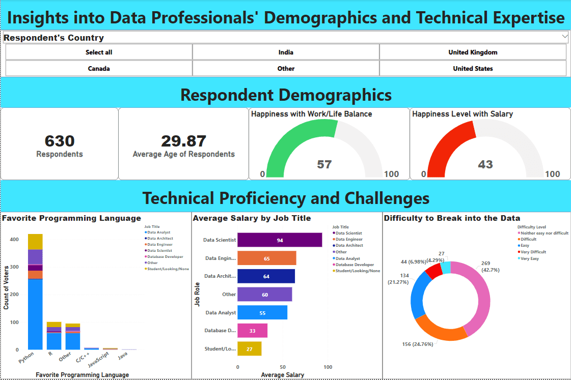 Portfolio for Power BI, Data Visualization & Dashboard