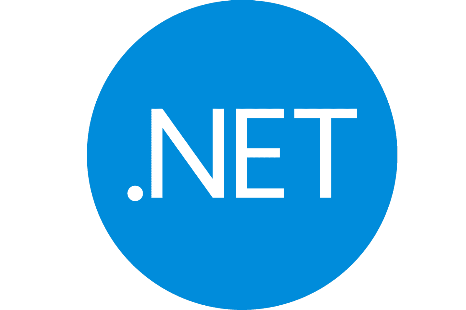 Portfolio for Software Engineer