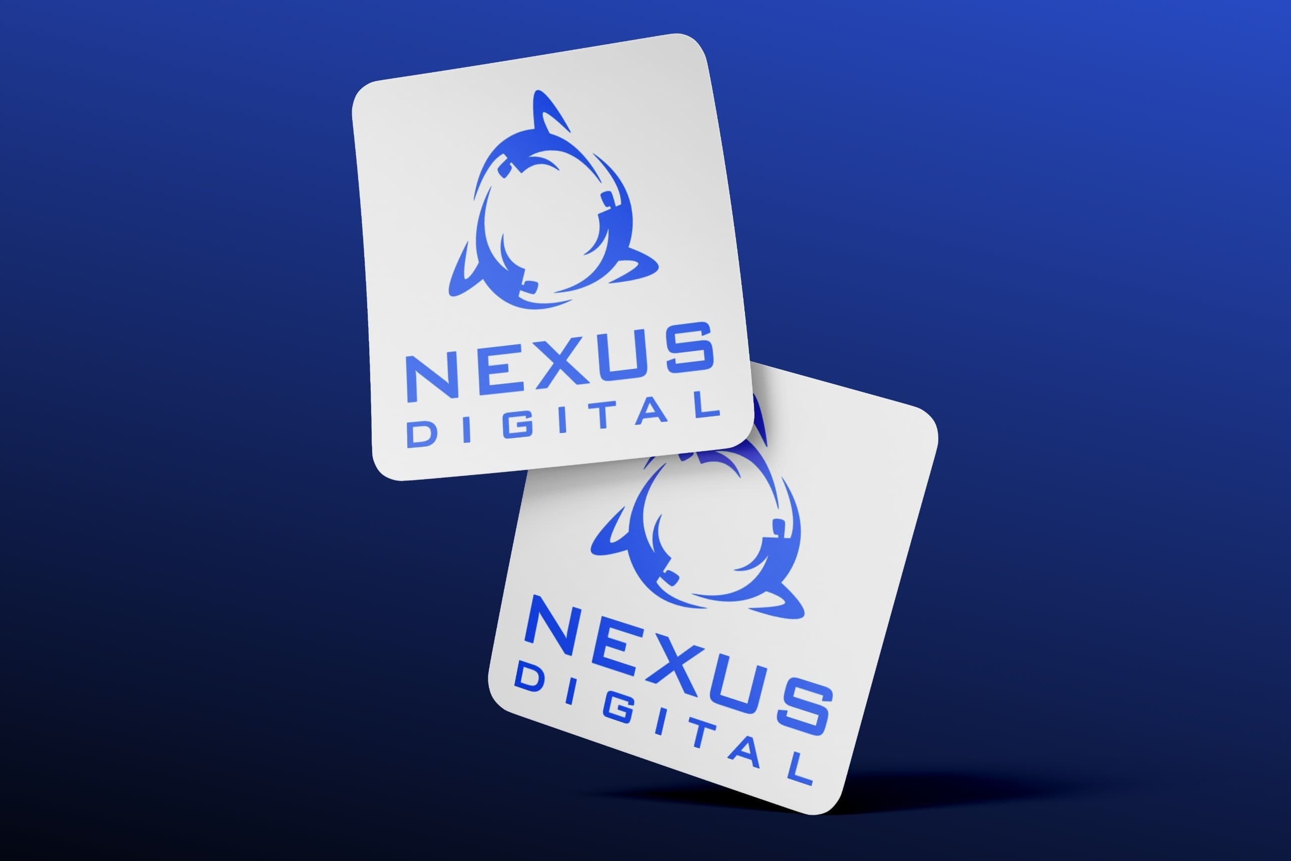 Portfolio for Web Development