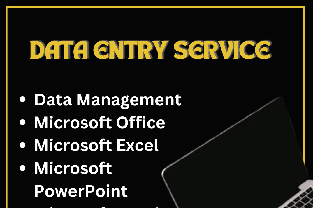 Portfolio for Data Entry