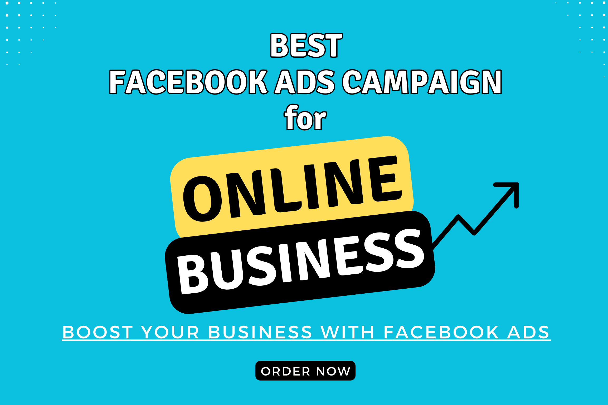 Portfolio for Meta Facebook Ads Campaign