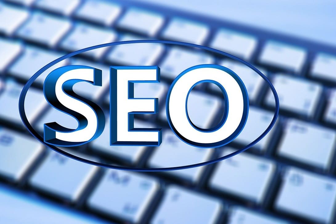 Portfolio for seo expert