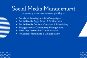 Portfolio for social media manager