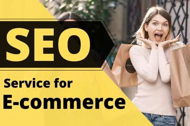 Portfolio for Ecommerce SEO Expert