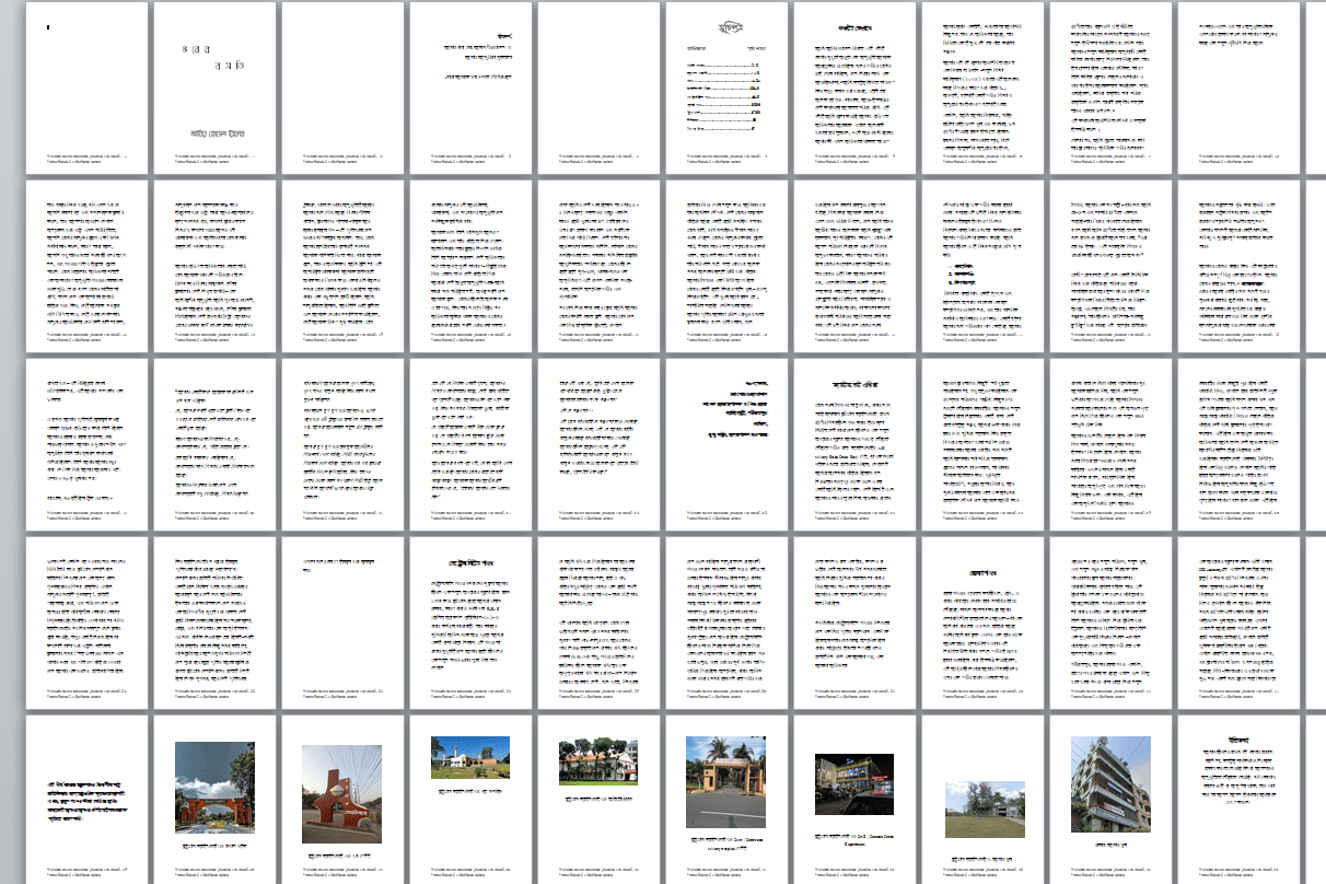 Portfolio for Writer