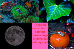 Portfolio for Photo editing