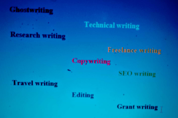 Portfolio for Writer