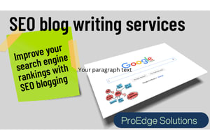 Portfolio for SEO Blogging