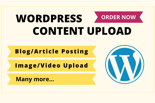 Portfolio for WordPress Designer