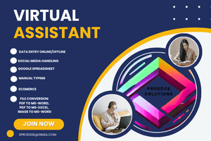 Portfolio for Virtual Assistant