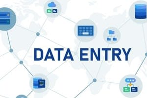 Portfolio for Data entry professional