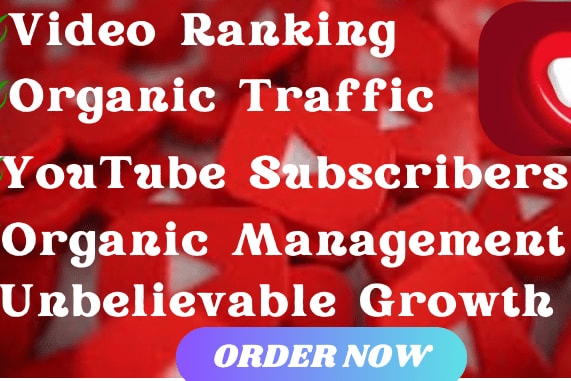 Portfolio for Increase your website