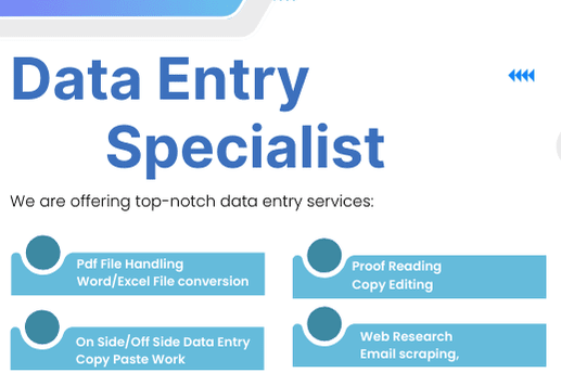 Portfolio for Data Entry Professional